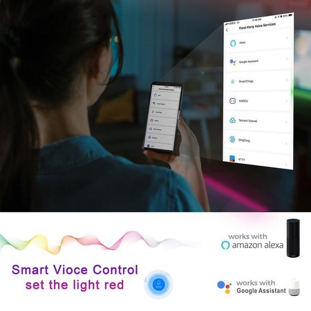 Wiltop LED Strip Lights 2x16.4ft RGB Wireless IP67 Smart Light Strip with Google Assistant App TYSL-67
